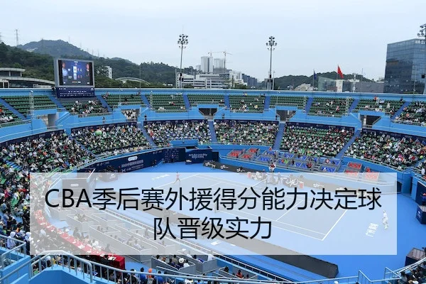 ji-hou-sai-wai-yuan-de-fen-neng-li-jue-ding-qiu-dui-jin-ji-shi-li-2-201.jpg